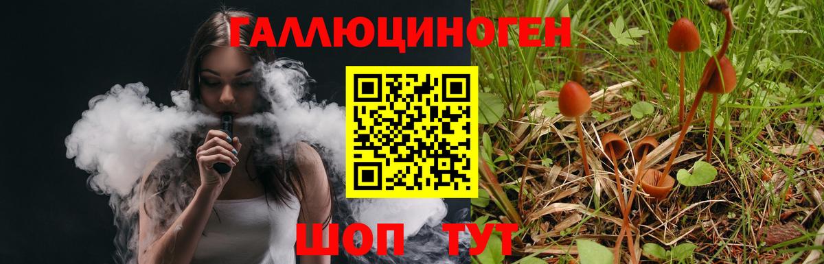 Улан-Удэ  Псилоцибиновые грибы Cubensis  купить  сайты  Псилоцибиновые грибы Magic Shrooms  Вход с VPN 